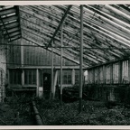 BransfordRoadNurseries(09-12-2011) 010 A
