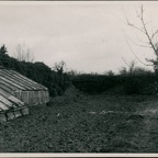 BransfordRoadNurseries(09-12-2011) 001 A