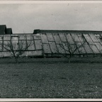 BransfordRoadNurseries(09-12-2011) 002 A