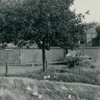 HillStreet 003 A