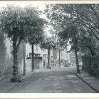 Trees 2 016 A